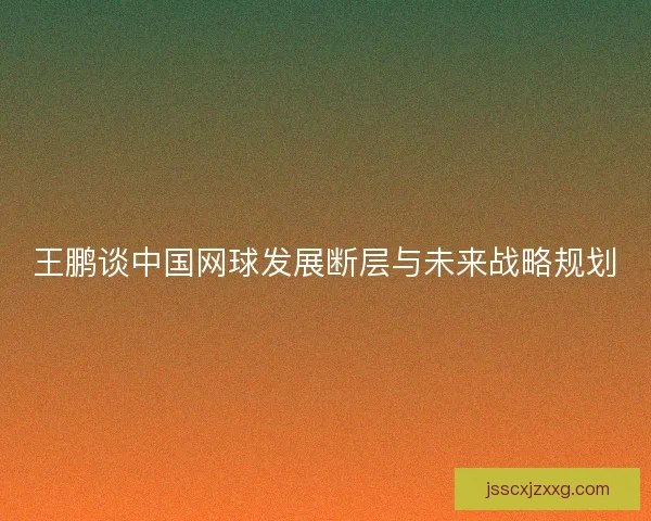 王鹏谈中国网球发展断层与未来战略规划